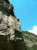 [thumbnail of Picture 5]