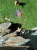 [thumbnail of Picture 12]