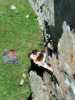 [thumbnail of Picture 16]