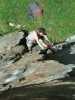 [thumbnail of Picture 17]