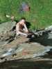 [thumbnail of Picture 18]