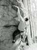 [thumbnail of Picture 2]