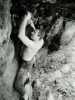 [thumbnail of Picture 4]