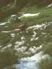 [thumbnail of Picture 1]