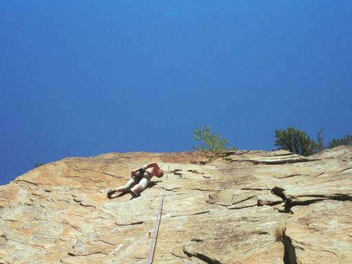 Image8.web.jpg