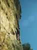 [thumbnail of Picture 1]