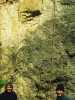 [thumbnail of Picture 3]