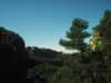 [thumbnail of Picture 4]