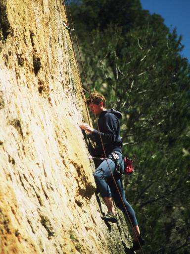 Image0010.web.jpg