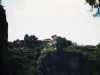 [thumbnail of Picture 7]