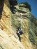 [thumbnail of Picture 9]