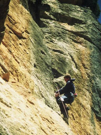 Image0015.web.jpg