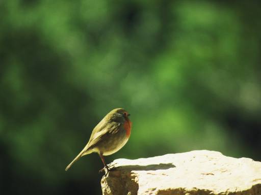 Image0017.web.jpg