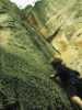 [thumbnail of Picture 23]