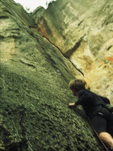 Image0052.web.jpg