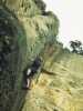 [thumbnail of Picture 24]