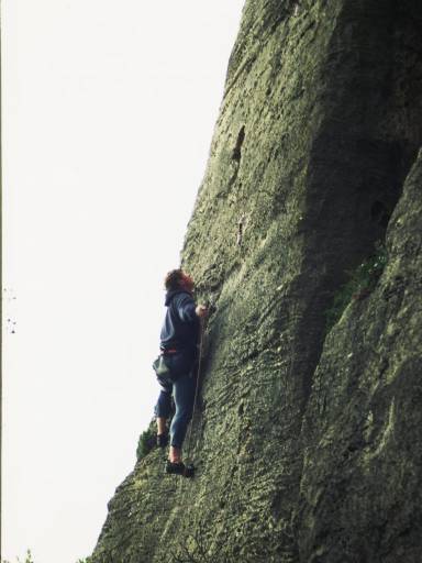 Image0060.web.jpg