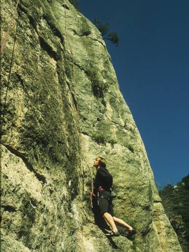 Image0072.web.jpg