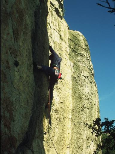 Image0073.web.jpg