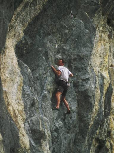 Image0275.web.jpg