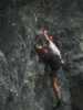 [thumbnail of Picture 6]