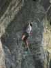 [thumbnail of Picture 7]