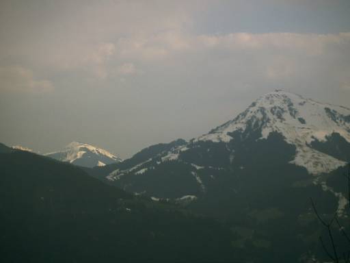 Image0278.web.jpg