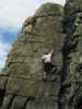[thumbnail of Picture 2]