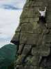 [thumbnail of Picture 3]