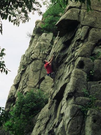 Image0011.web.jpg