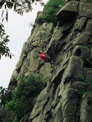 Image0012.web.jpg