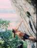[thumbnail of Picture 1]