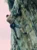 [thumbnail of Picture 9]