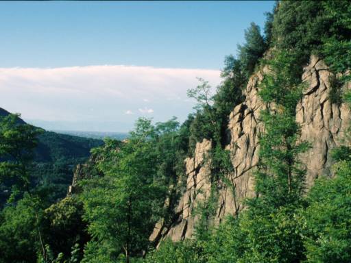 Image16.web.jpg