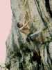 [thumbnail of Picture 5]