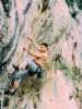 [thumbnail of Picture 6]