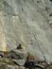 [thumbnail of Picture 3]