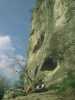 [thumbnail of Picture 3]