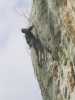 [thumbnail of Picture 5]