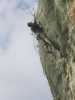 [thumbnail of Picture 6]