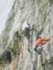 [thumbnail of Picture 9]