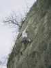[thumbnail of Picture 10]