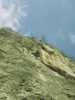[thumbnail of Picture 12]