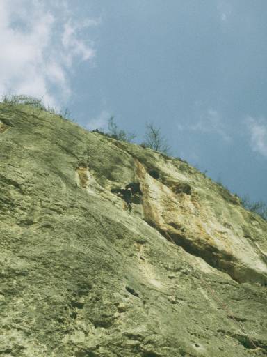 Image0077.web.jpg