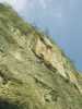 [thumbnail of Picture 15]