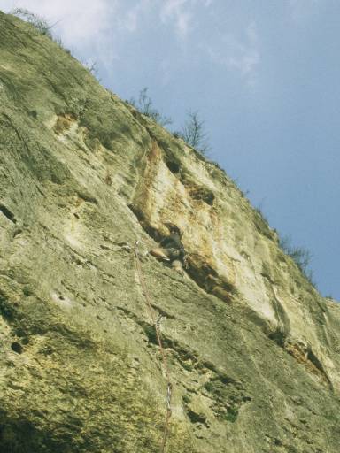 Image0080.web.jpg
