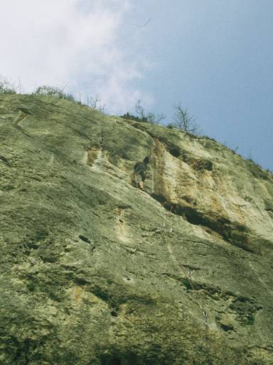 Image0081.web.jpg