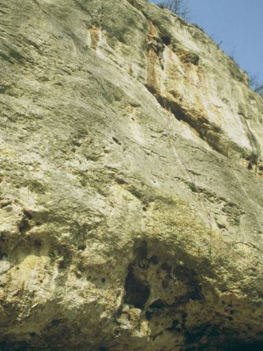 Image0083.web.jpg
