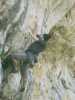 [thumbnail of Picture 21]