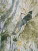 [thumbnail of Picture 22]